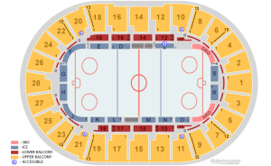 DECC-arena-hockey