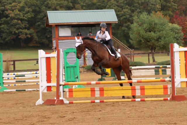 Woman jumping horse over colorful jump fence